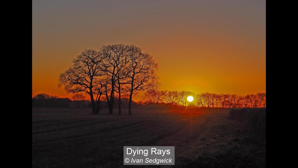 Dying Rays